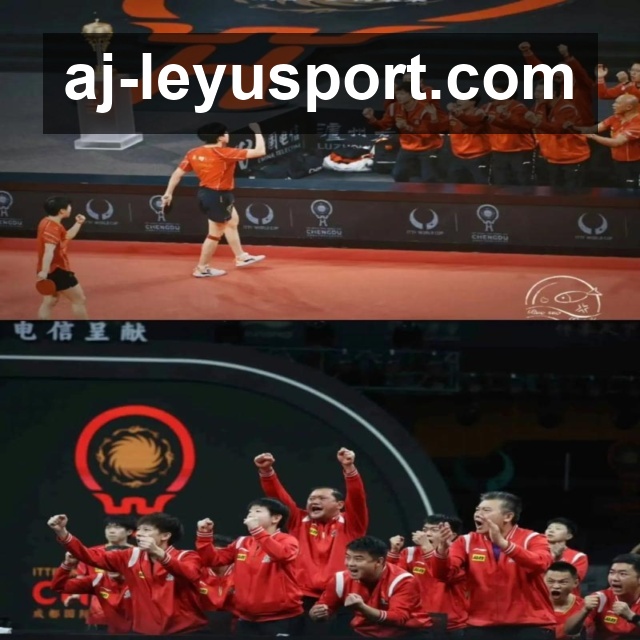 比分赛后说明查询