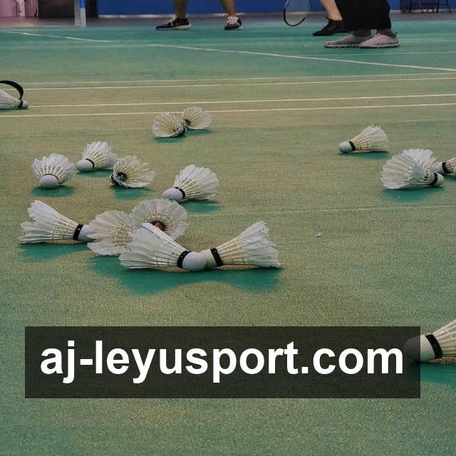 乐鱼体育稳定访问