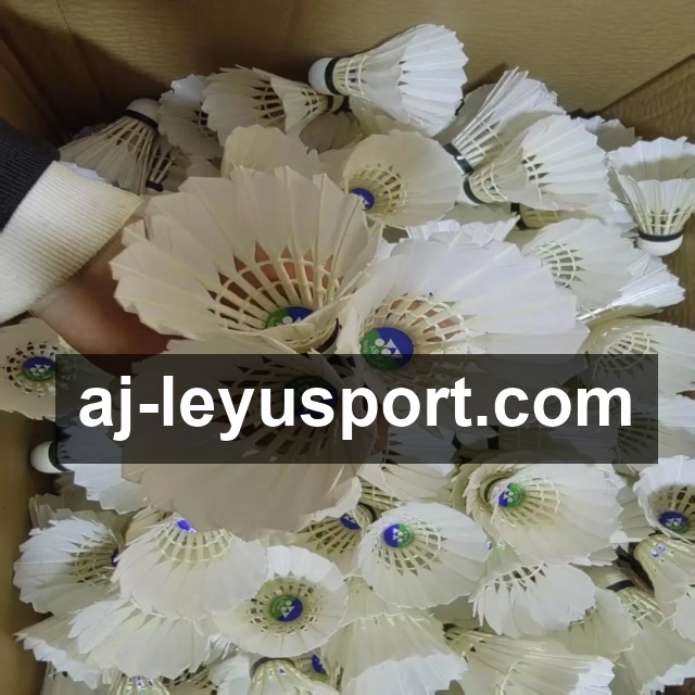 乐鱼体育专业内容